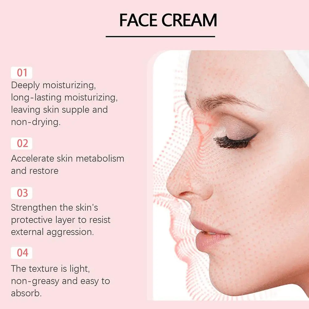 Anti-Wrinkle Facial Cream